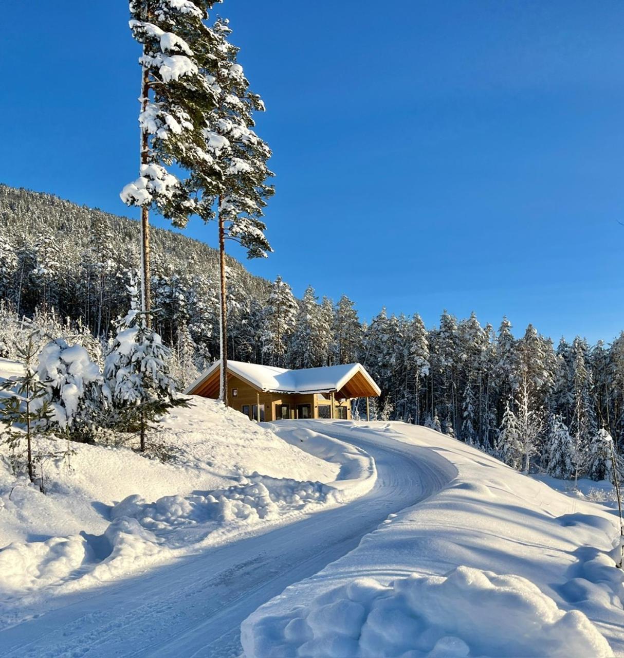 Furuheim Lodge, 4 Seizoenen Vakantiehuis Met Fantastisch Uitzicht Vrådal Eksteriør billede
